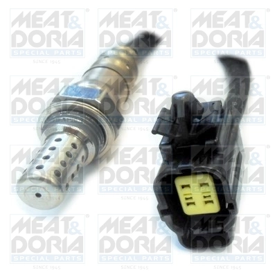 Oxygen Sensor